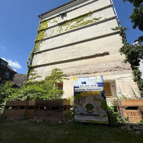 ce1df35d-ffdc-4187-869a-4d919df4dc68